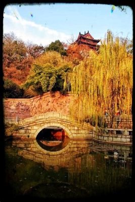  Le Jardin Botanique de Yichang: Un paradis floral à explorer avec émerveillement !