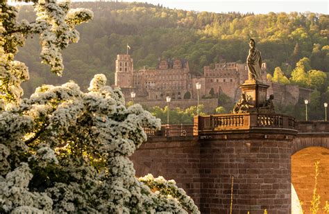  Le Château de Heidelberg: Vestige historique et romantique d'une époque oubliée